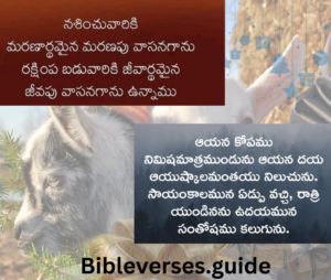 Bible verse.guide - 2023-02-17T151448.467