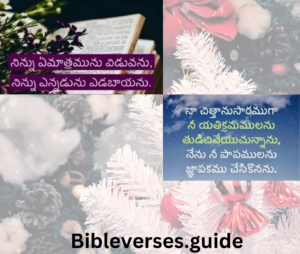 క్రీస్తు బేతనియకు ప్రయాణము చేయుట (11:5-16) :