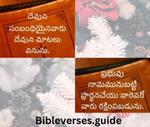 “నేనే పునరుత్థానమును జీవమునై యున్నాను” (11:17-27) :
