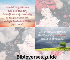 ప్రభువుకు వ్యతిరేకముగా యూదులు ఆలోచన చేయుట (11:45-57) :