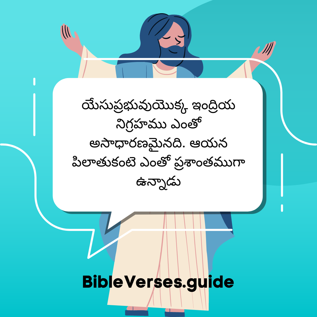 రక్షకుని మరణము Bible Verses Chapter 19
