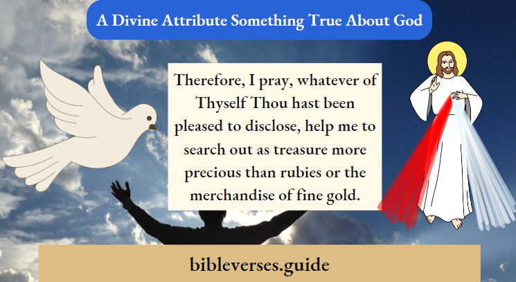 A Divine Attribute Something True About God