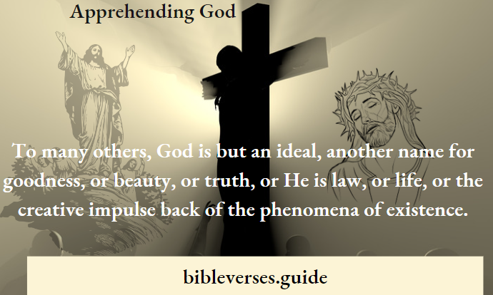 Apprehending God