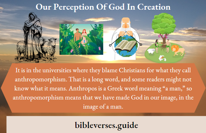 Our Perception Of God In Creation