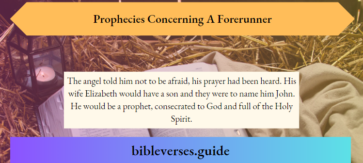Prophecies Concerning A Forerunner