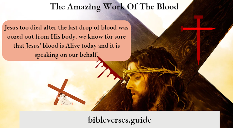 The Amazing Work Of The Blood