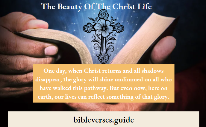 The Beauty Of The Christ Life