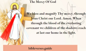 Mercy Scriptutes The Mercy Of God - Bible Verses