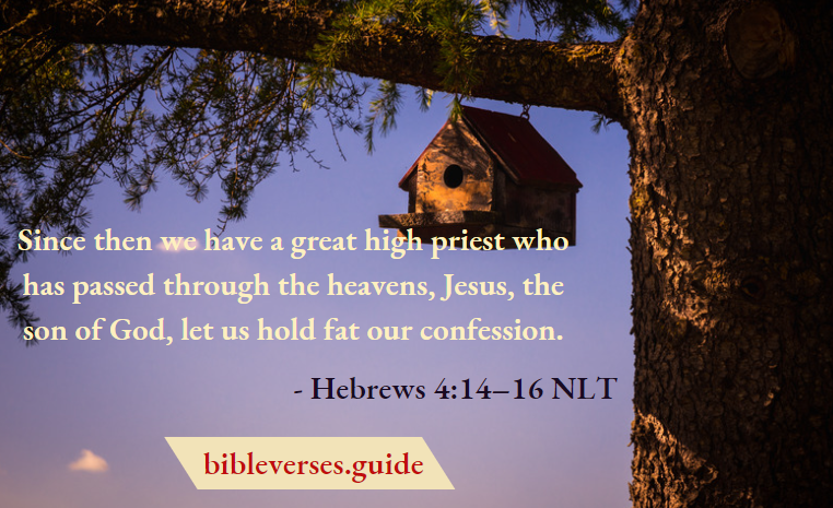Hebrews 4-14–16 NLT