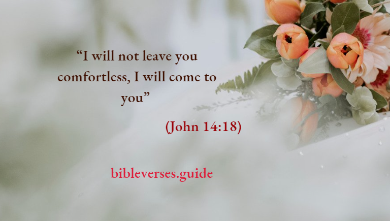 I will not leave you comfortless, I will come to you
