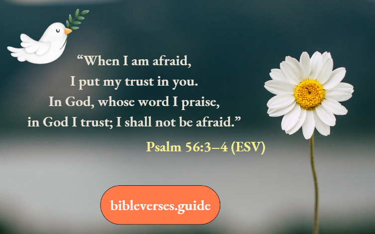 Psalm 56-3–4 (ESV)