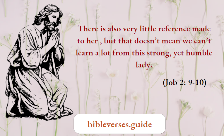 What Have You Gotten Us Into Jobs Wife