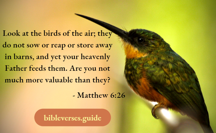 Matthew 6-26