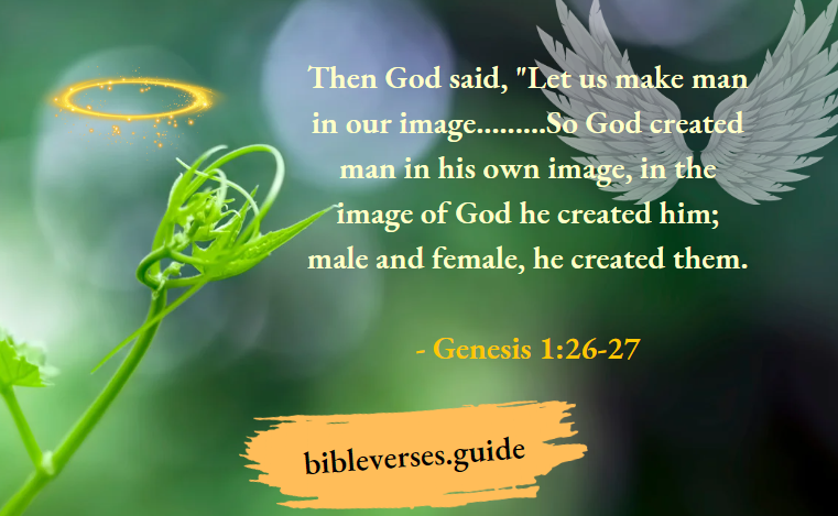 Genesis 1-26-27