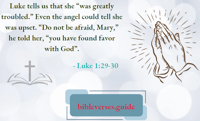 Luke 1-29-30