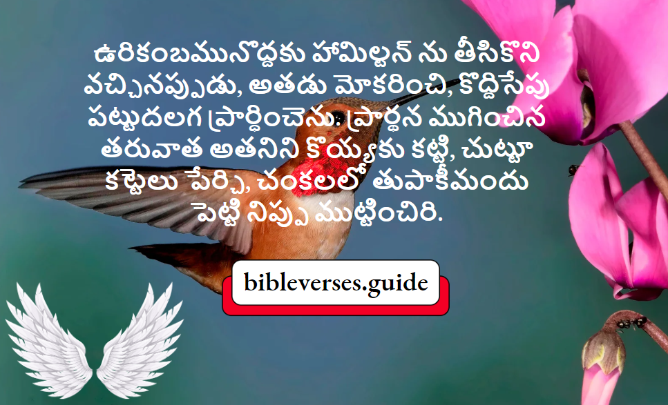 ఉరికంబమునొద్దకు హామిల్టన్