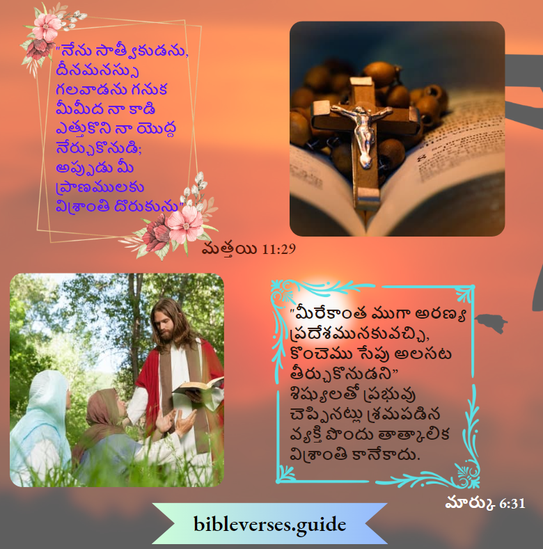 మత్తయి 11-29, మార్కు 6-31