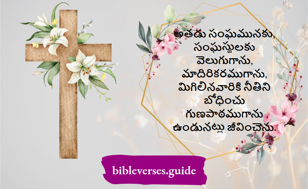 సంఘమునకు, సంఘస్థులకు వెలుగుగాను