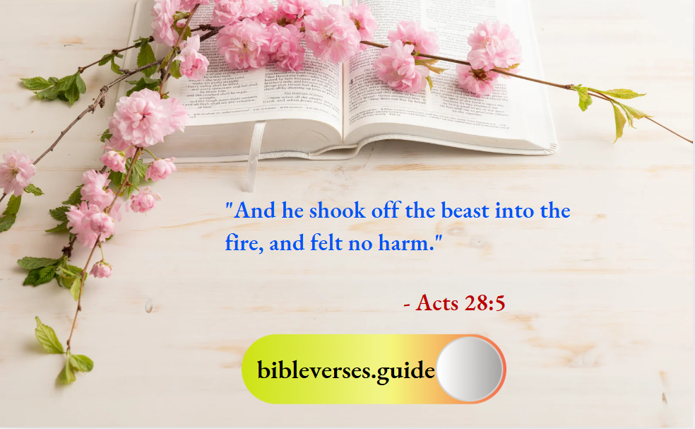 Acts 28-5