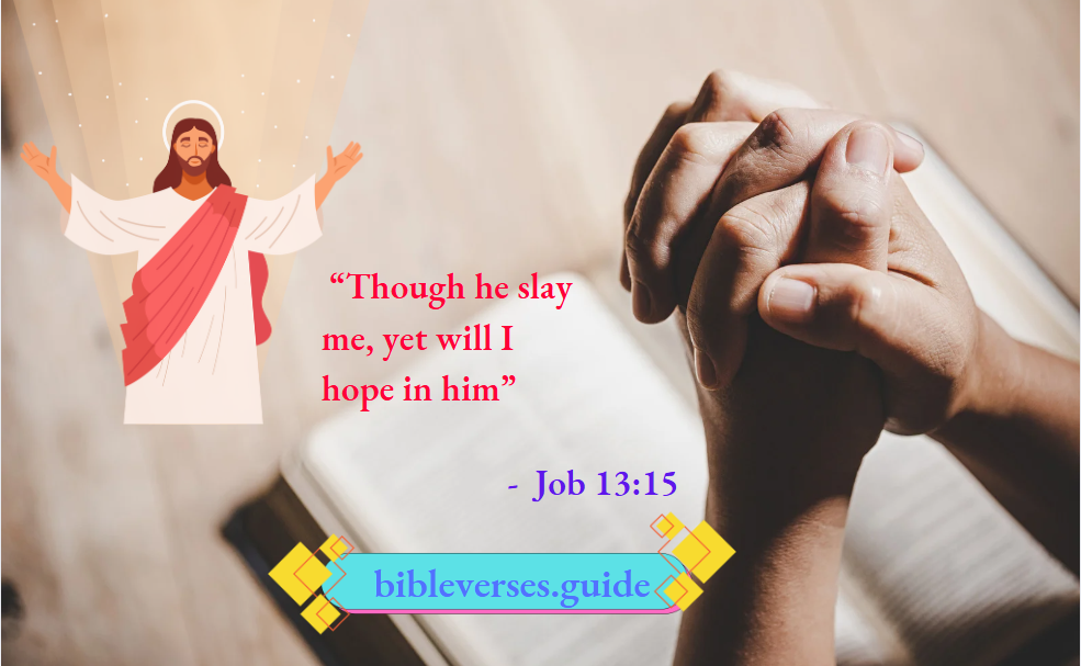 Job 13 : 15