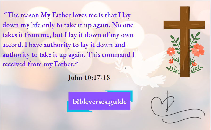 John 10- 17-18