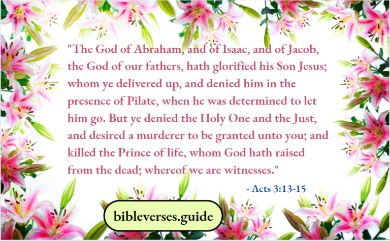 Acts Of The Apostles - Acts Chapter 3 - Bible Verses