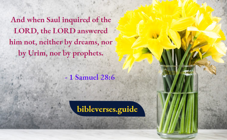 1 Samuel 28-6