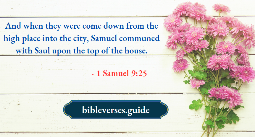 1 Samuel 9-25