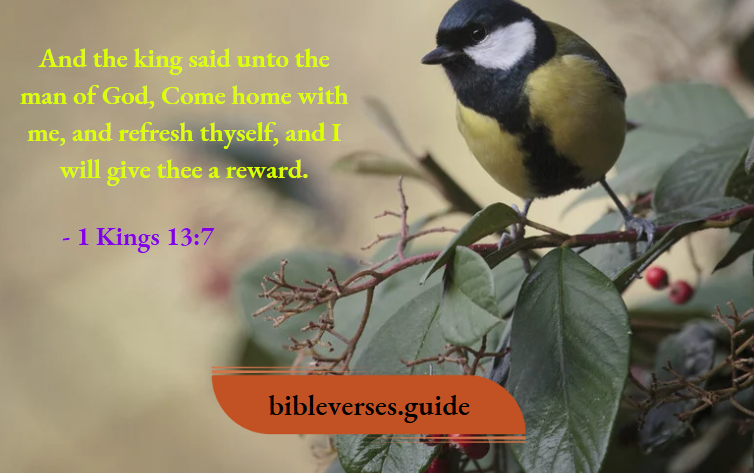 1 kings 13-7
