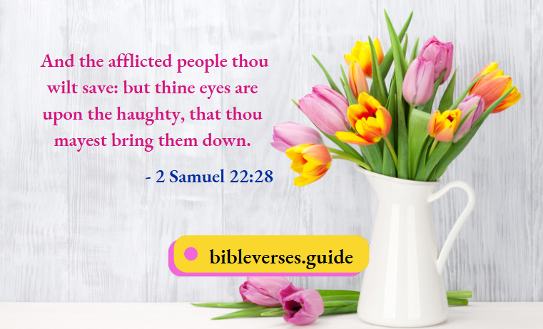 2 Samuel 22-28