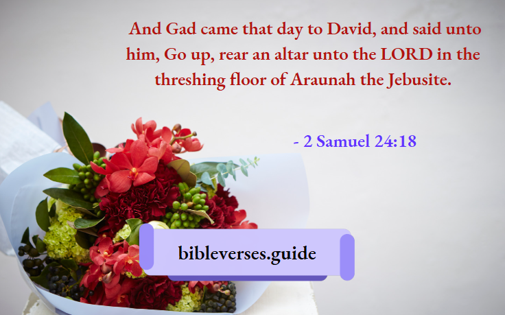 2 Samuel 24-18
