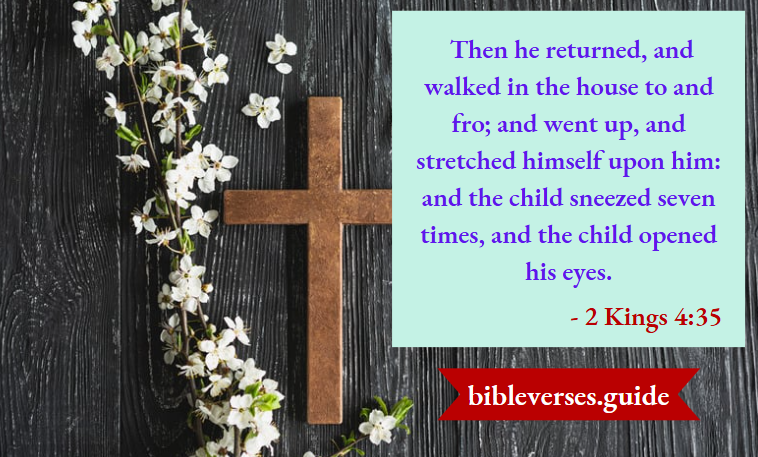 2 kings 4-35