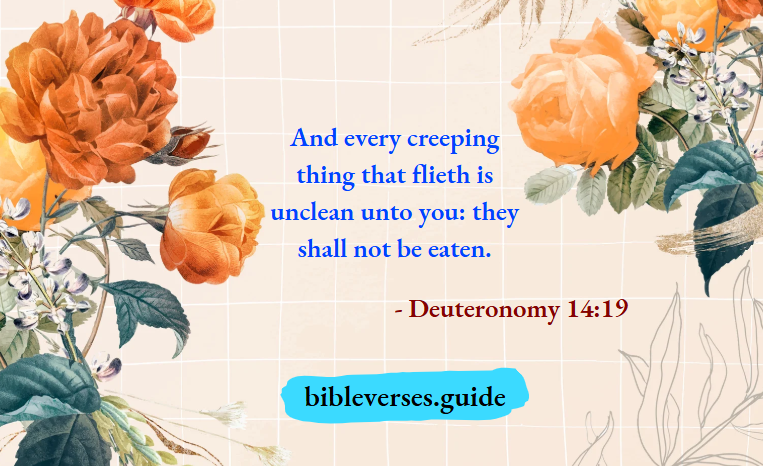 Deuteronomy 14-19