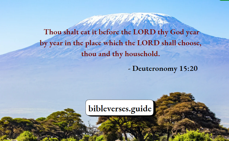 Deuteronomy 15-20