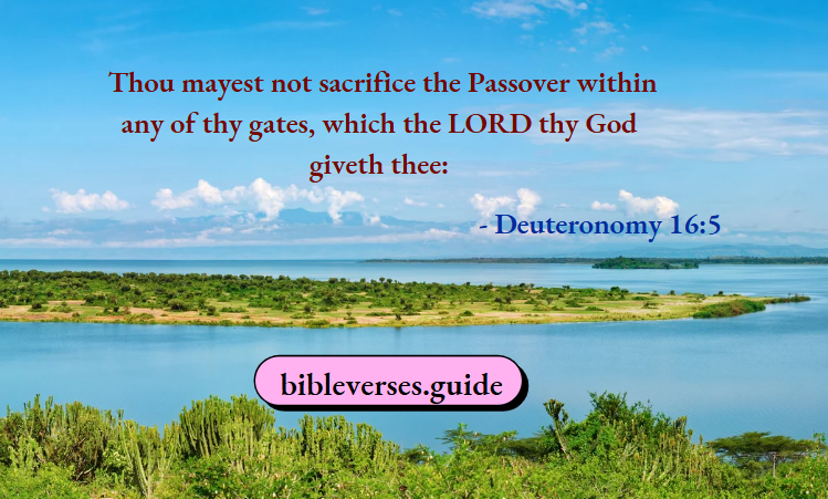 Deuteronomy 16-5
