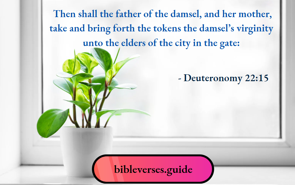Deuteronomy 22-15