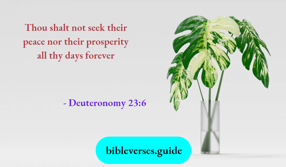Deuteronomy 23-6