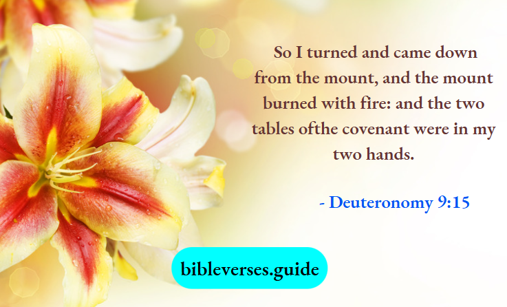 Deuteronomy 9-15