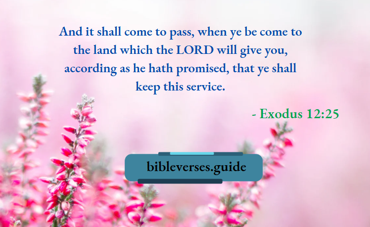 Exodus 12-25
