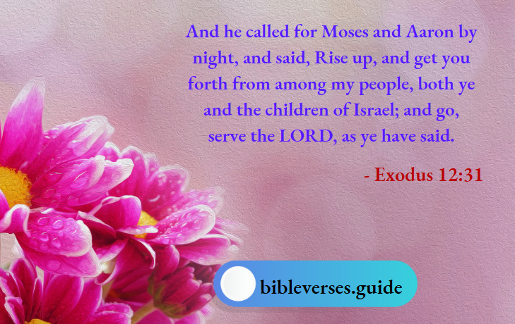 Exodus 12-31