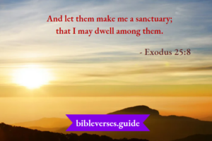 Exodus 25 The Tabernacle’s Design: God Dwelling Among His People ...