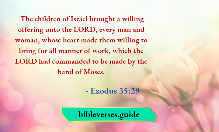 Exodus 35-29