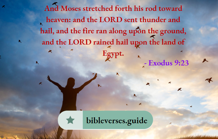 Exodus 9-23