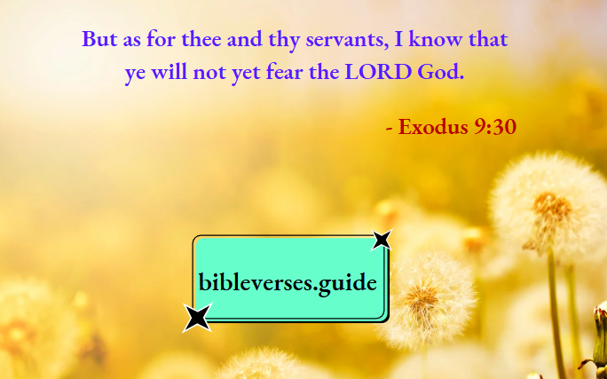 Exodus 9-30