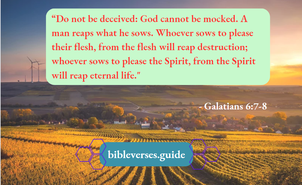 Galatians 6-7-8
