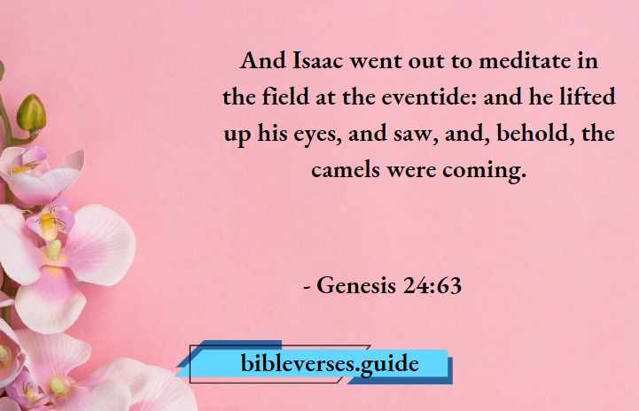 Genesis 24-63