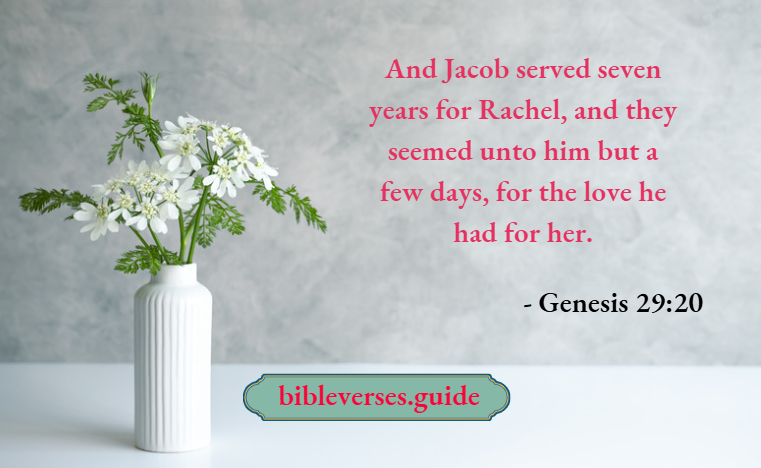Genesis 29-20