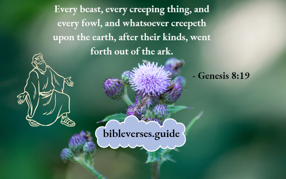 Genesis 8-19