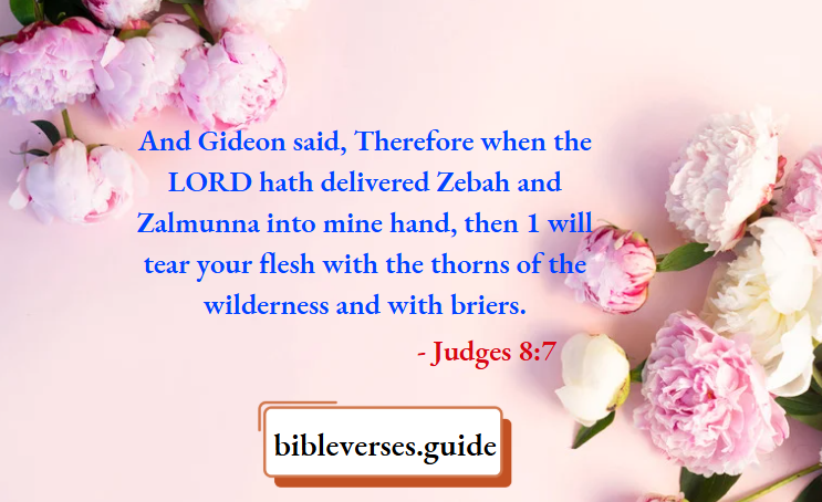 Judges 8-7
