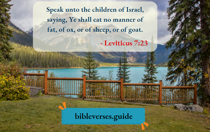 Leviticus 7-23